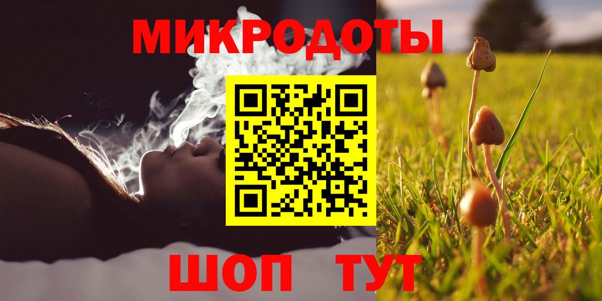 Псилоцибиновые грибы Cubensis Железноводск